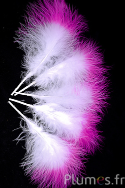 Plumet 3 plumes - hauteur 20 cm - blanc-fuchsia
